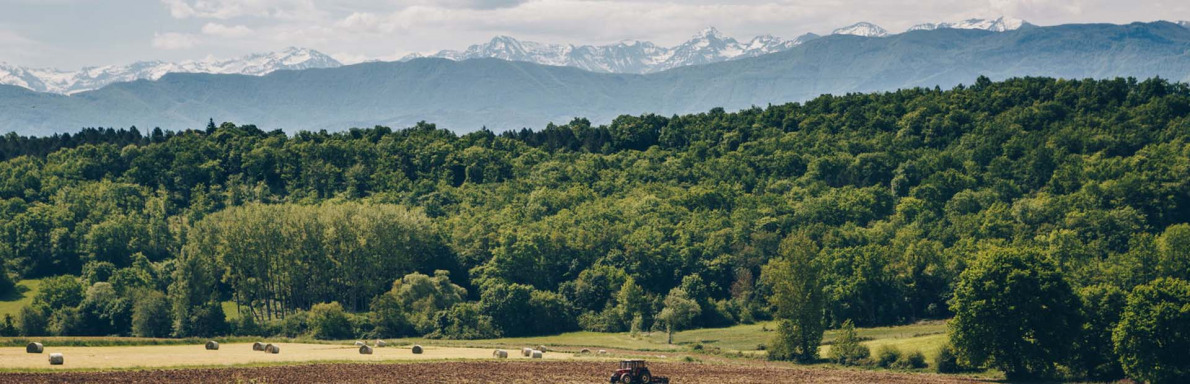 Paysage haut-garonnais