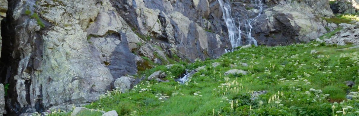 mégaphorbiaie à aconit tue-loup sur suintements