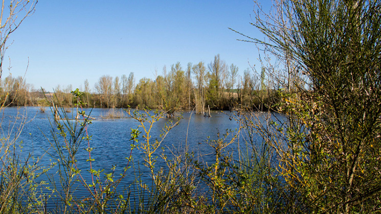 Anciennes gravières de la Valette