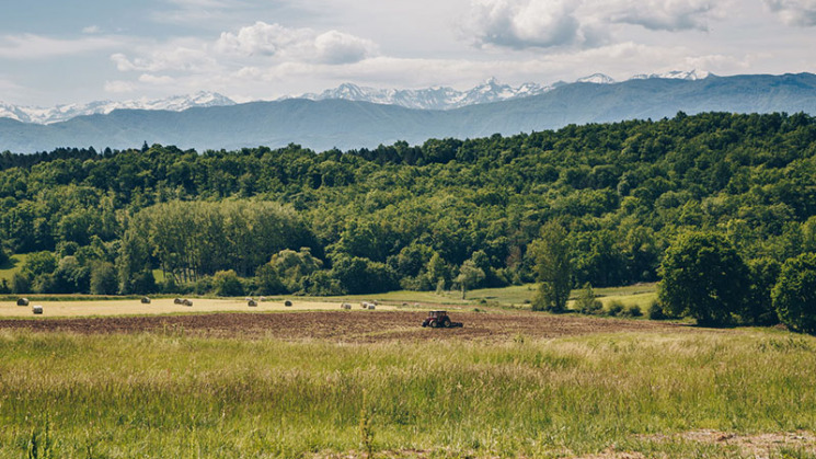 Paysage Haut-Garonnais