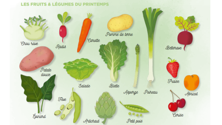 Fruits et légumes du printemps