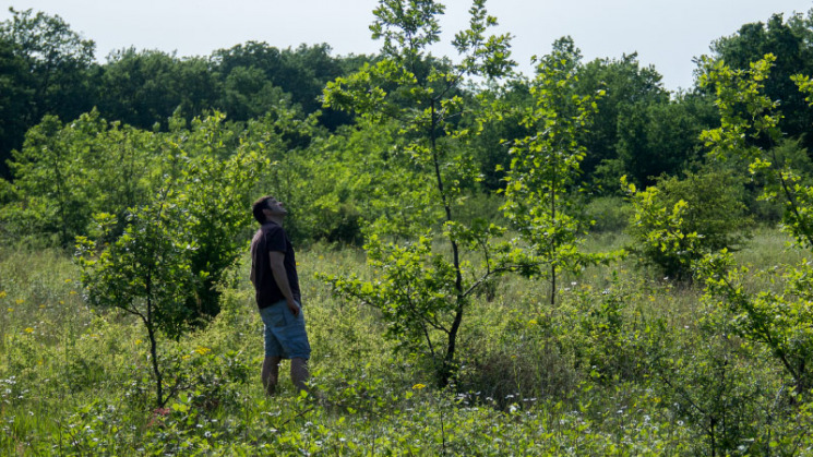 Foret de Buzet