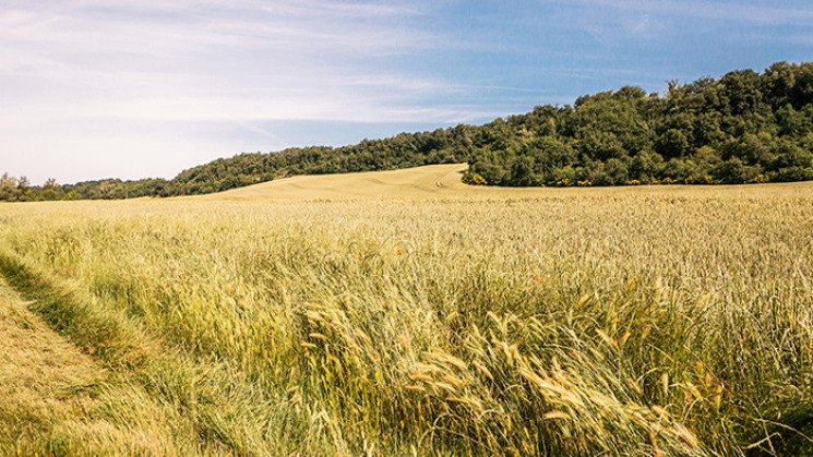 Haute-Garonne environnement