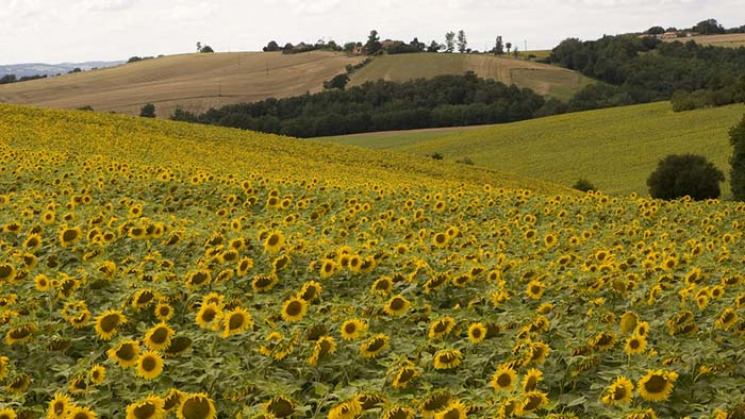 « Comment souhaitez-vous voir évoluer les paysages de Haute-Garonne les 20 prochaines années ? » 