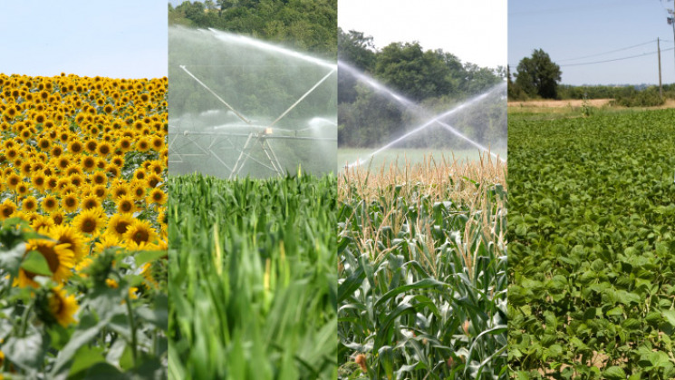 Irrigation en Haute-Garonne