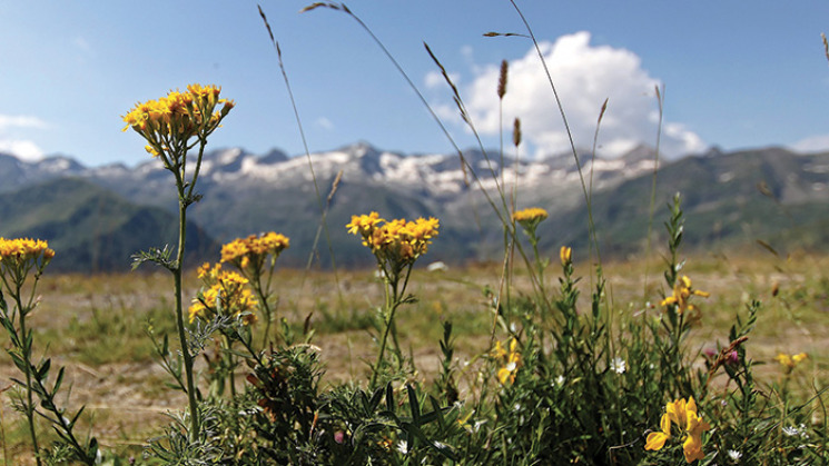 Paysage Haute-Garonne