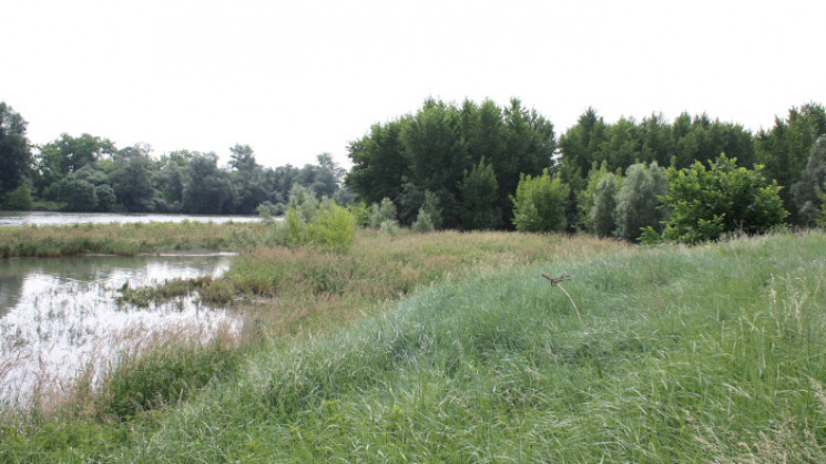 Complexe ZH Grenade - La Nautique