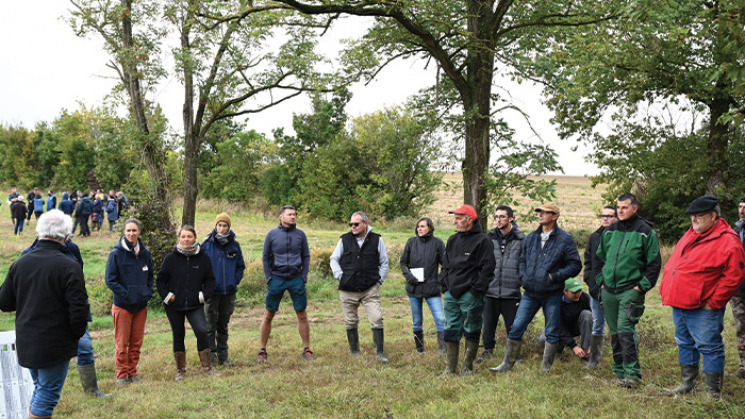 Journée d'informations sur les couverts végétaux dans le Lauragais