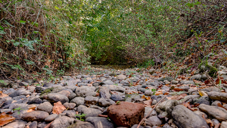 Les communes disposent d'un nouvel outil pour protéger durablement les eaux  souterraines en forêt - Actualités - Canton Communes