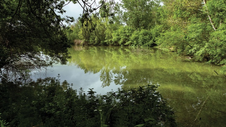 La Réserve naturelle régionale Confluence Garonne-Ariège